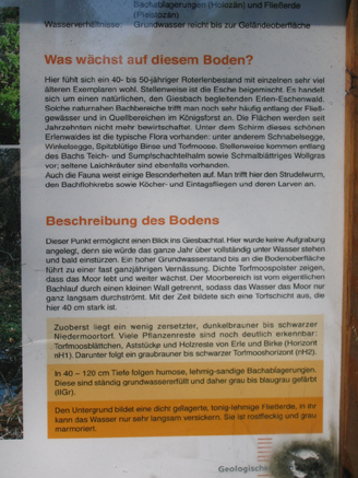 n_11_kö_J56_inf-gi-bach.jpg